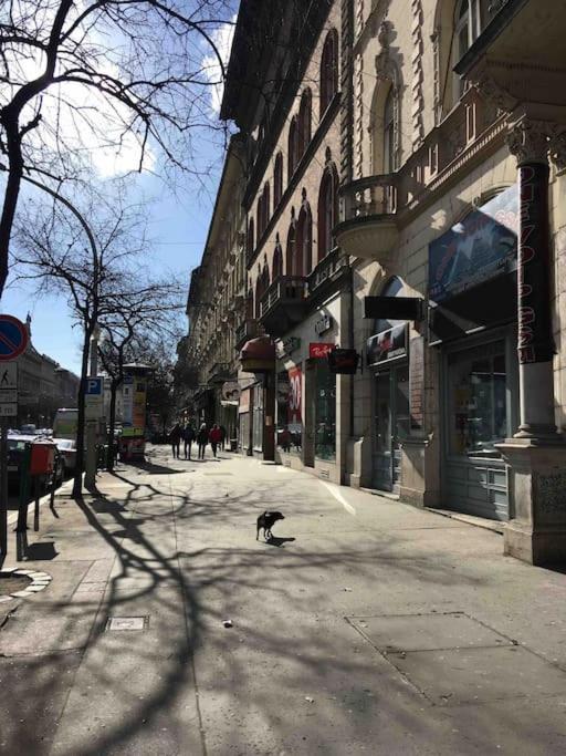 Downtown Island Of Peace By Nw Appartement Boedapest Buitenkant foto